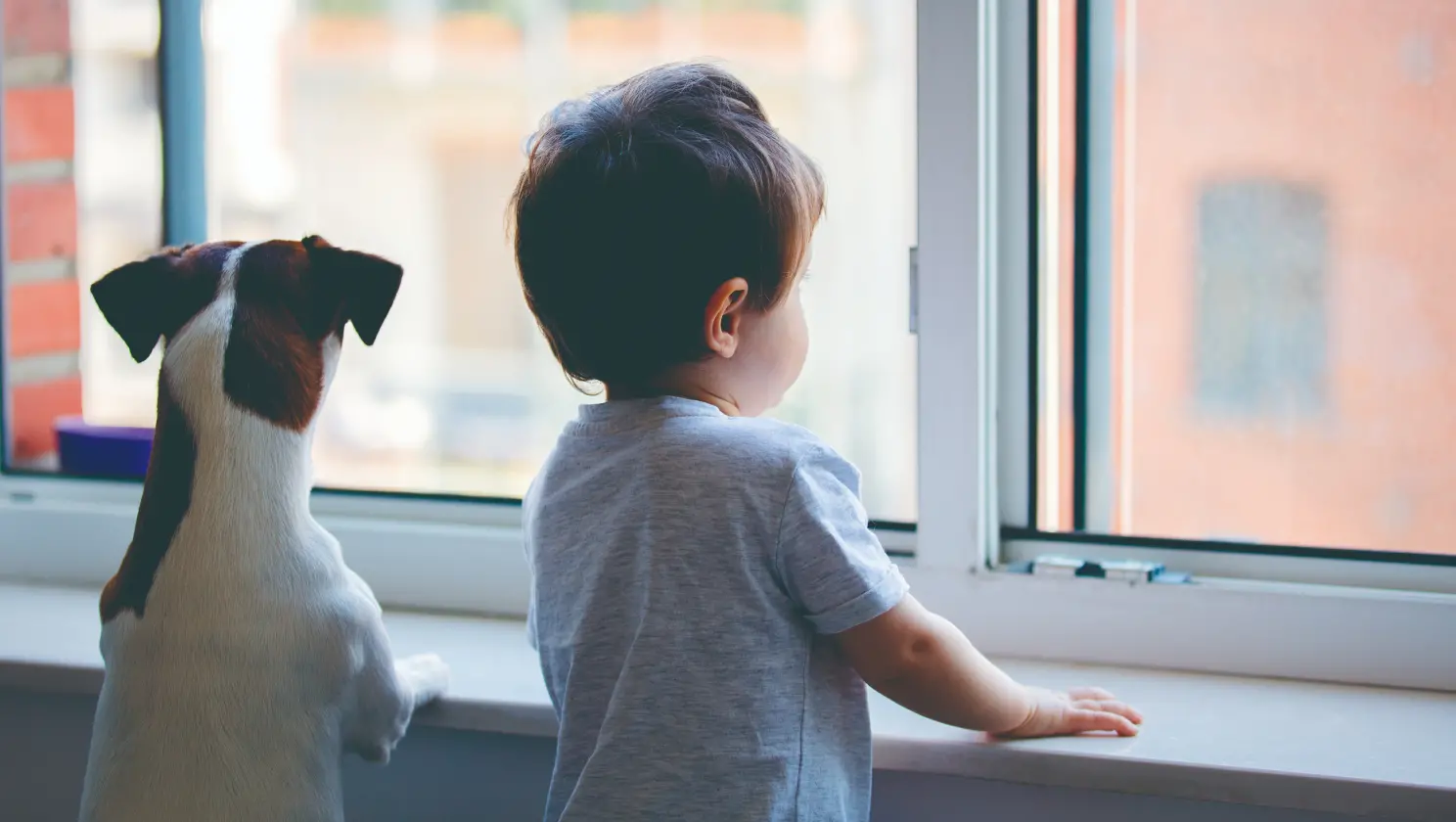 Safe for children and pets