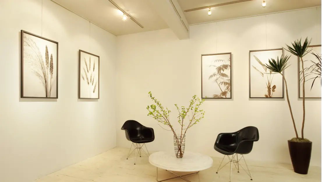 Galleries